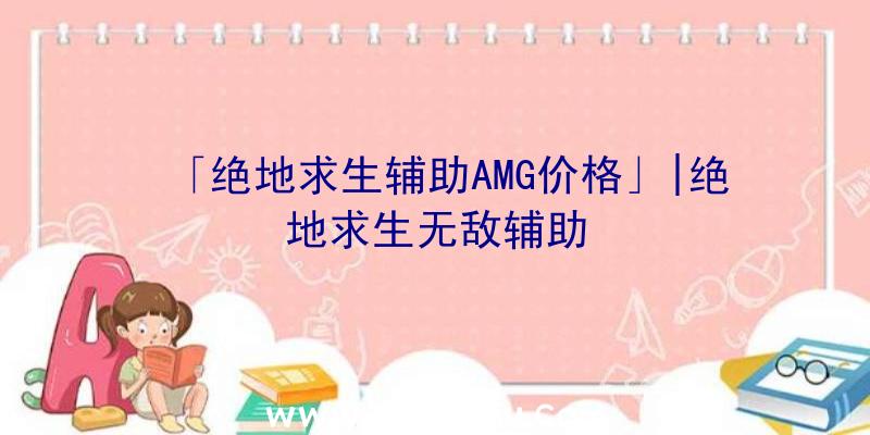 「绝地求生辅助AMG价格」|绝地求生无敌辅助